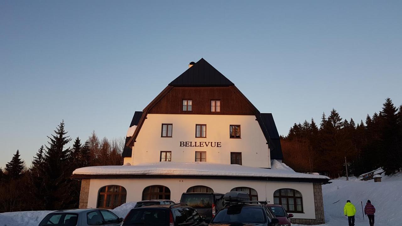 Luxusni Mezonetovy Apartman Bellevue - Novy 贝内茨科 外观 照片