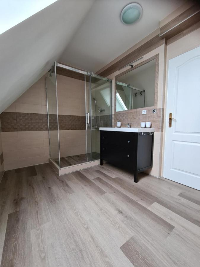 Luxusni Mezonetovy Apartman Bellevue - Novy 贝内茨科 外观 照片
