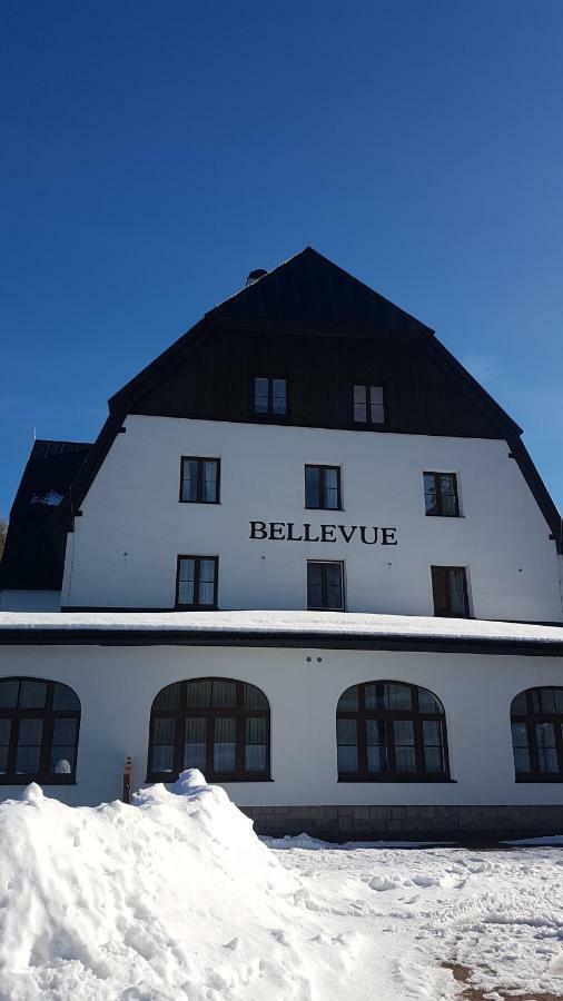 Luxusni Mezonetovy Apartman Bellevue - Novy 贝内茨科 外观 照片